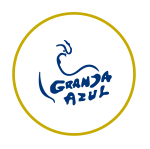 Aliado 26