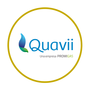 Aliado 43